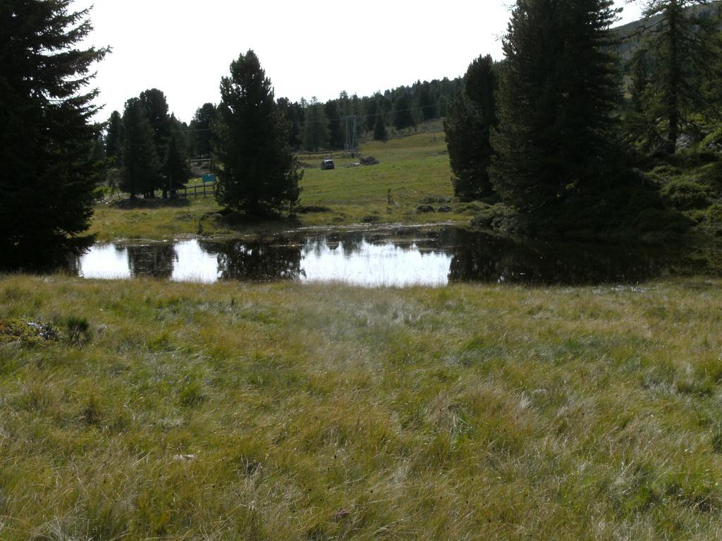 Privatpension Herta Sankt Georgen ob Murau Exterior photo